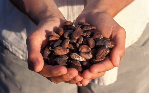 http://i.telegraph.co.uk/multimedia/archive/02297/cacao-beans_2297855b.jpg